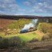 Sir Nigel Gresley 030509
